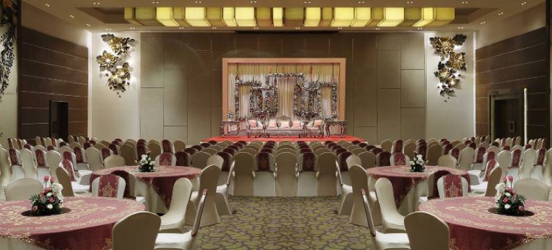 瓦多达拉苏亚宫殿美爵酒店(Grand Mercure Vadodara Surya Palace)图片