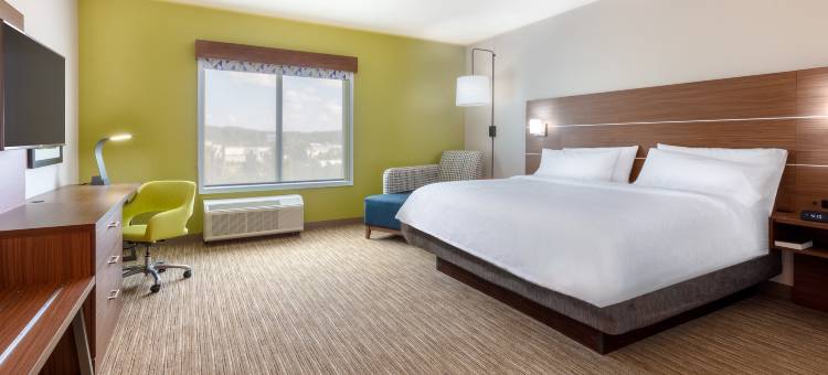 卡尔霍恩南部智选假日酒店(Holiday Inn Express CALHOUN SOUTH by IHG)图片