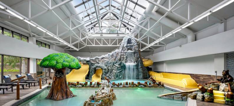 卡纳纳斯基斯傲途格精选酒店(Kananaskis Mountain Lodge, Autograph Collection)图片