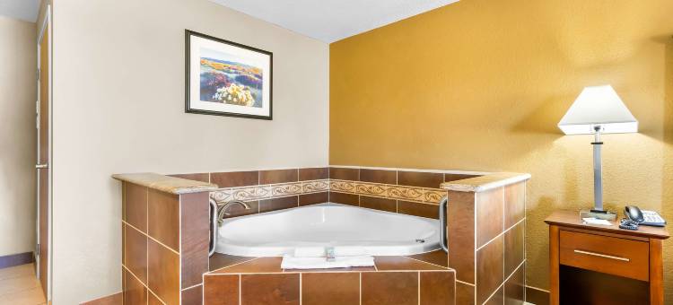 纽马克特贝斯特韦斯特套房酒店(Best Western California City Inn  Suites)图片