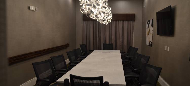 智选假日套房酒店奥尔巴尼 by IHG(Holiday Inn Express & Suites ALBANY by IHG)图片