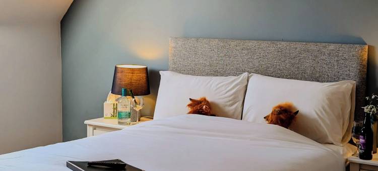 本克鲁亚川旅馆(Ben Cruachan Inn - Restaurant, Pub with Rooms)图片