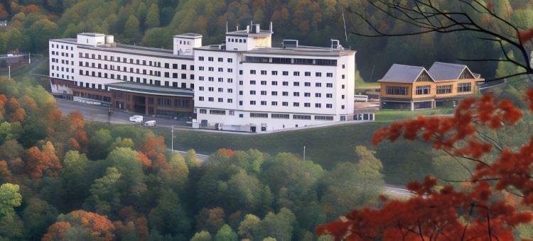 大雪酒店(Hotel Taisetsu Onsen＆Canyon Resort)图片