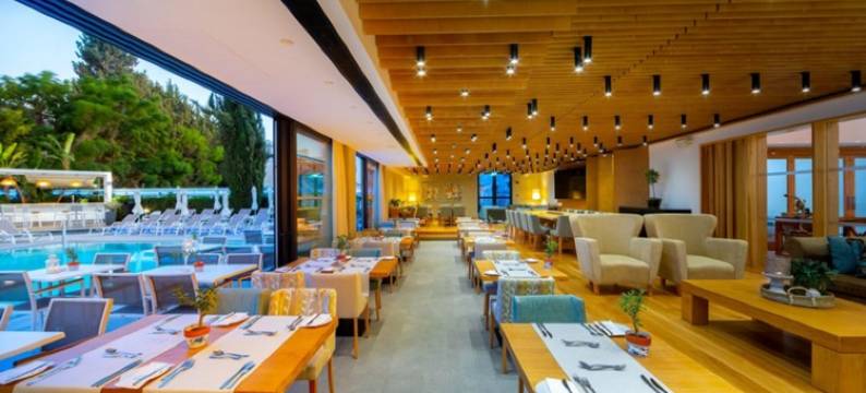 阿内密套房酒店(Anemi Hotel & Suites)图片