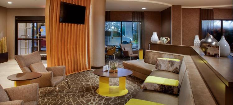 萨凡纳机场万豪SpringHill酒店(SpringHill Suites Savannah Airport)图片