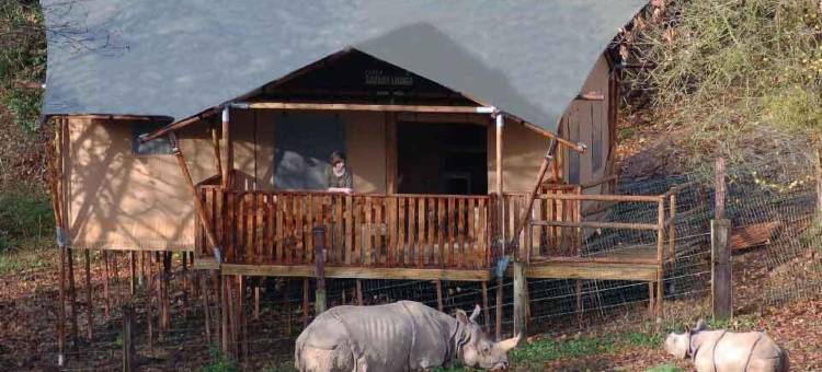 CERZA野生动物园小屋(Cerza Safari Lodge)图片