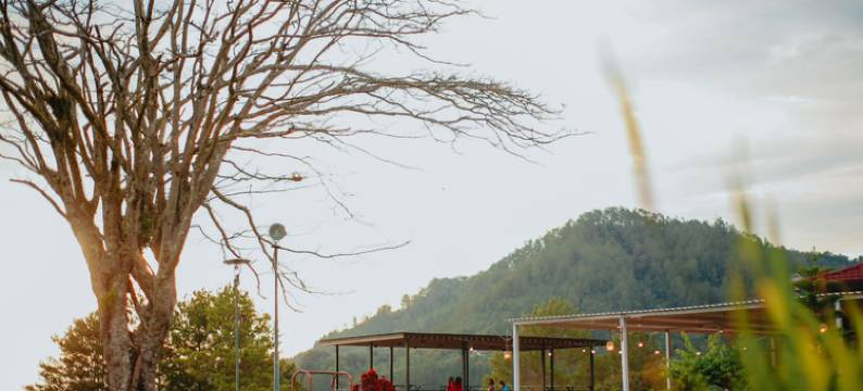 不拉巴帕特拉舒适酒店(Patra Comfort Parapat)图片