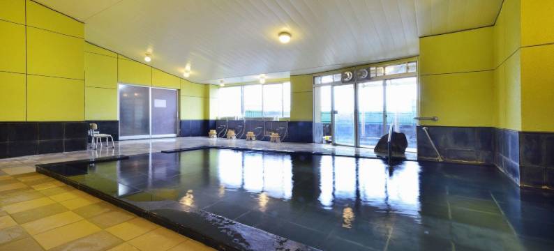 大阪青龙日式温泉旅馆-壮观景色(Hotel Seiryu Japanese Spa Inn with Spectacular View in Osaka)图片
