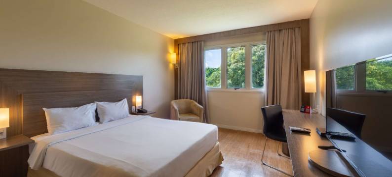 马瑙斯诺富特酒店(Novotel Manaus)图片