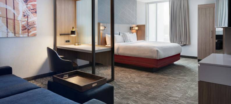 SpringHill Suites奥兰多米勒尼亚酒店(SpringHill Suites Orlando at Millenia)图片