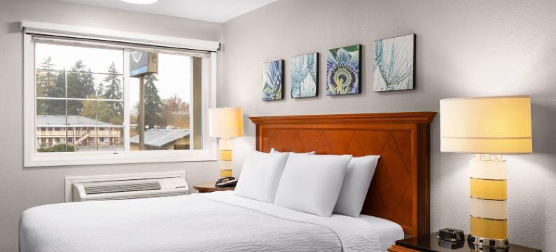 普亚勒普大本营温德姆旅游旅馆(Basecamp Puyallup a Travelodge by Wyndham)图片