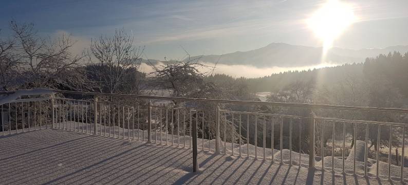 贝格施塔特霍夫酒店(Hotel Bergstätter Hof)图片