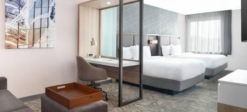 哥伦比亚近杰克逊堡万豪春丘酒店(SpringHill Suites Columbia Near Fort Jackson)图片