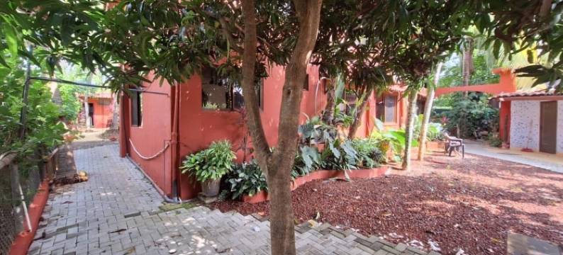 马萨伊公寓酒店(Massai Apartments)图片