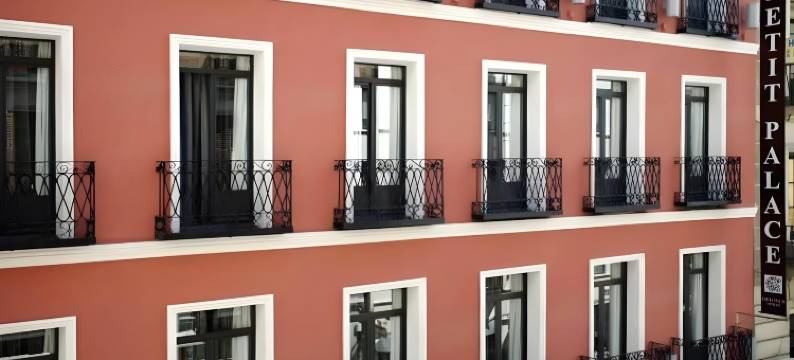 珀蒂宫特雷斯克鲁斯住宿(Petit Palace Tres Cruces)图片