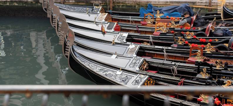 奥尔塞奥洛卡瓦雷托和多戈酒店(Albergo Cavalletto & Doge Orseolo)图片