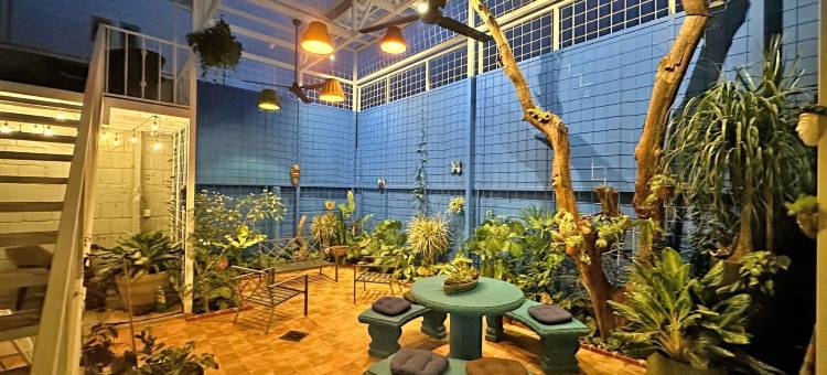 城市丛林民宿(Jungla Urbana, Bnb)图片