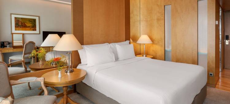 雅典美利亚酒店(Melia Athens)图片