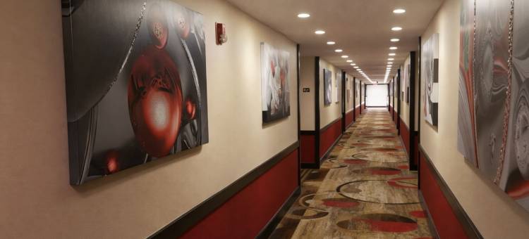 伍德兰酒店及套房长住(Woodland Inn and Suites Extended Stay)图片
