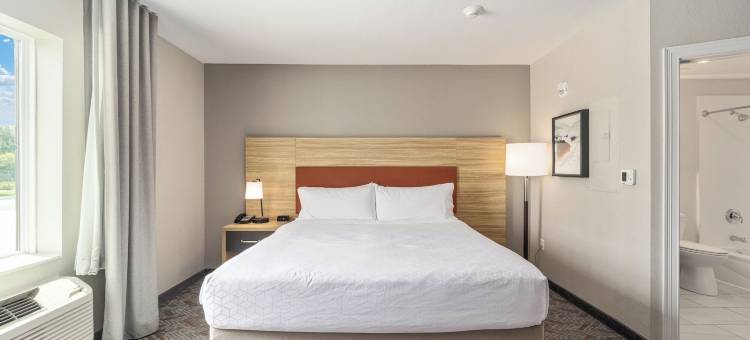 奥卡拉I-75洲际Candlewood Suites酒店(Candlewood Suites OCALA I-75 by IHG)图片