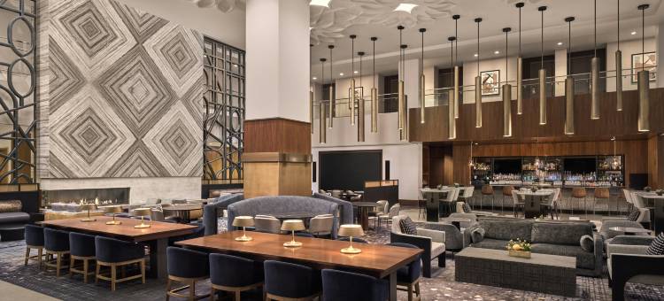 芝加哥洛斯酒店(Loews Chicago Hotel)图片