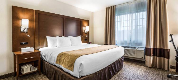 帕尔4号度假村舒适套房酒店(Comfort Suites at PAR 4 Resort)图片