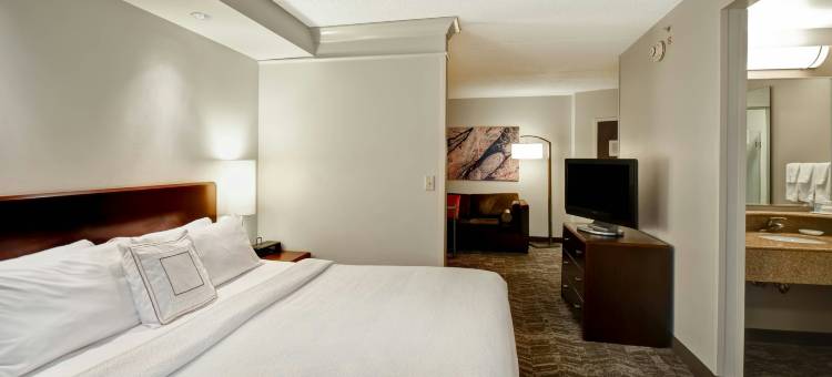 路易斯威尔赫斯特波/北部 SpringHill Suites 酒店(SpringHill Suites Louisville Airport)图片