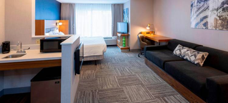 罗切斯特梅奥医学中心／圣玛丽医院万豪SpringHill酒店(SpringHill Suites Rochester Mayo Clinic Area/Saint Marys)图片