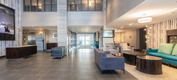 桑德曼经典埃德蒙顿南酒店(Sandman Signature Edmonton South Hotel)图片