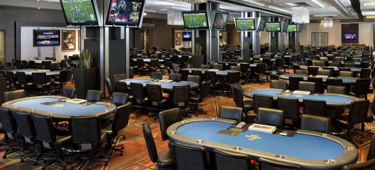 塞米诺尔硬石酒店及坦帕(Seminole Hard Rock Hotel and Casino Tampa)图片