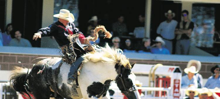 弗雷泽海岸旅馆(Coast Fraser Inn)图片