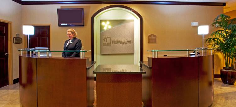 Holiday Inn & Suites 橘园- 井路。(Holiday Inn & Suites Orange Park - Wells RD.)图片