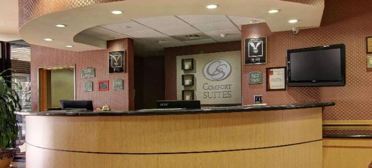 舒适套房酒店-埃尔帕索西(Comfort Suites El Paso West)图片