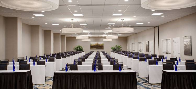 奥兰多国际大道南会议中心安泊套房酒店(Embassy Suites by Hilton Orlando International Drive Convention Center)图片