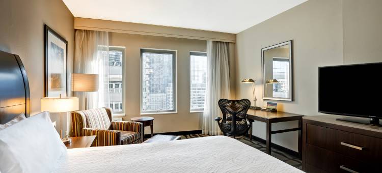 芝加哥市中心壮丽大道希尔顿花园酒店(Hilton Garden Inn Chicago Downtown/Magnificent Mile)图片