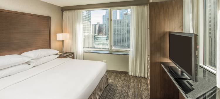芝加哥市中心华丽一英里希尔顿安泊酒店(Embassy Suites by Hilton Chicago Downtown Magnificent Mile)图片