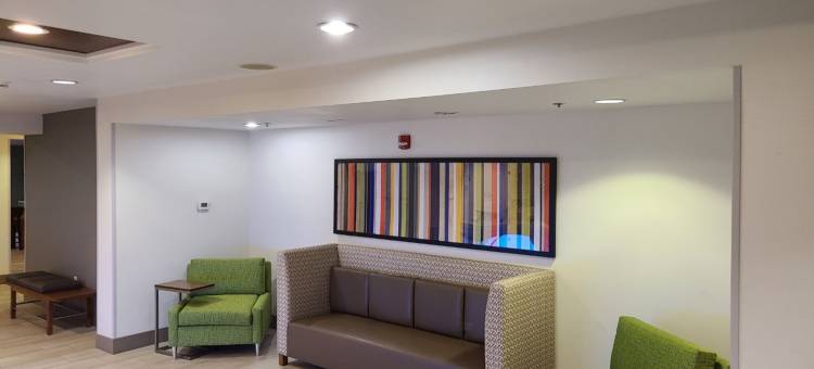 智选假日套房酒店谢尔顿(Holiday Inn Express & Suites Sheldon)图片