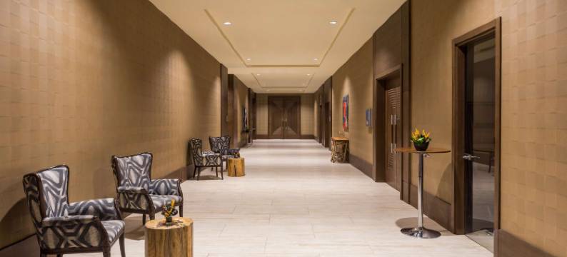 巴马科丽笙精选酒店(Radisson Collection Hotel Bamako)图片