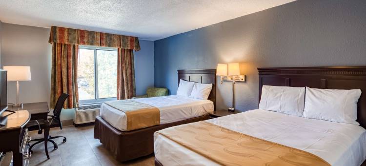 达拉姆医学中心贝斯特韦斯特SureStay Plus酒店(SureStay Plus Hotel by Best Western Durham Medical Center)图片