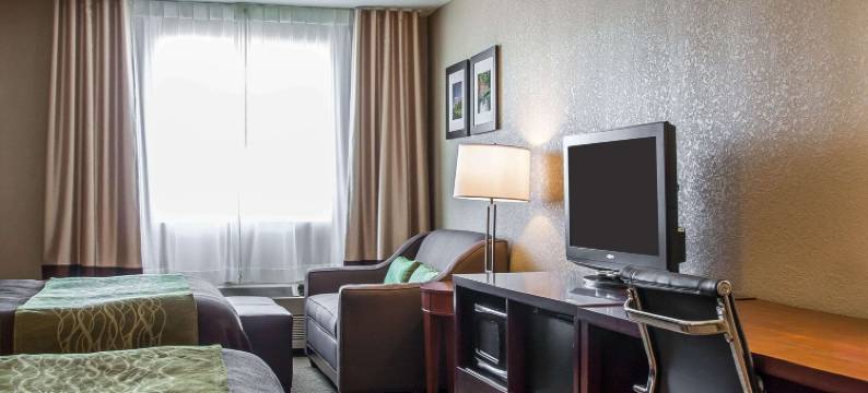 舒适酒店(Comfort Inn)图片