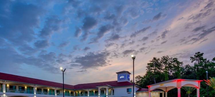 IAH机场北美洲佳价套房酒店(Americas Best Value Inn and Suites IAH Airport North)图片