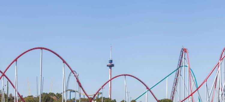 夏洛特-游乐园地区速8酒店(Super 8 by Wyndham Charlotte/Amusement Park Area)图片