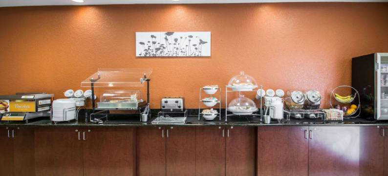 帕拉特卡北舒眠套房酒店(Sleep Inn & Suites Palatka North)图片