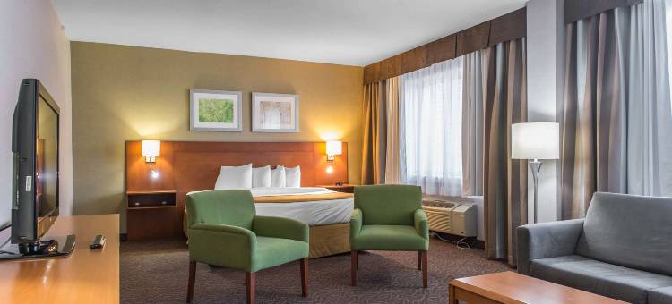 蒙特利尔华美达广场酒店(Ramada Plaza by Wyndham Montreal)图片