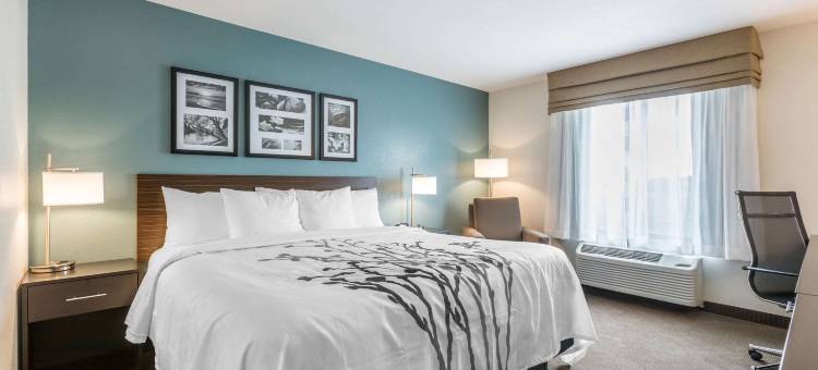 西德梅茵乔丹溪附近的舒眠套房酒店(Sleep Inn & Suites West des Moines Near Jordan Creek)图片