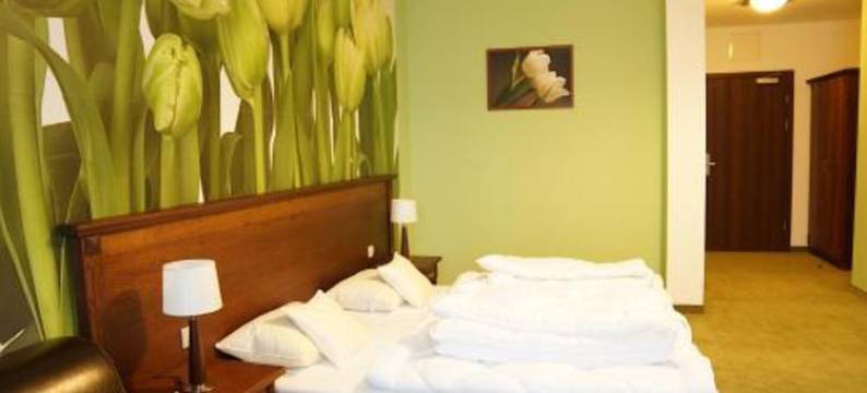 缅济热奇尼欧酒店(Hotel Neo Międzyrzecz)图片