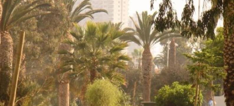 北边公寓(Northside Apartments)图片