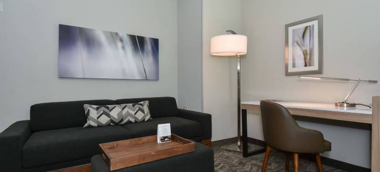 夏洛特上城SpringHill Suites酒店(SpringHill Suites Charlotte City Center)图片