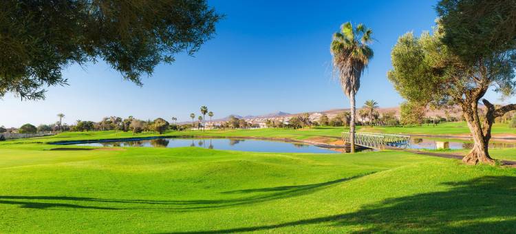 富埃特文图拉岛海滩喜来登高尔夫度假酒店(Sheraton Fuerteventura Beach, Golf & Spa Resort)图片