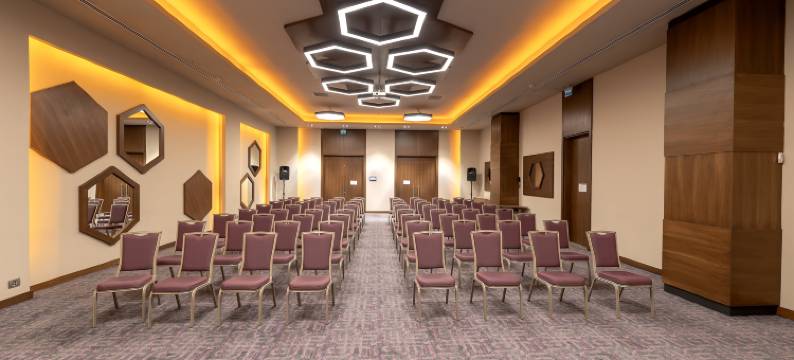 开塞利-杜文诺努假日酒店(Holiday Inn KAYSERI - DUVENONU by IHG)图片